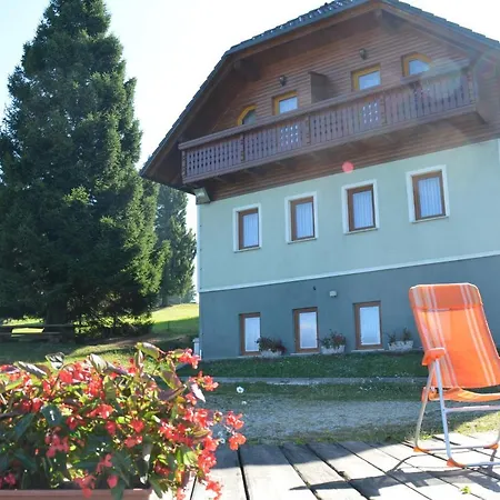 Apartmaji Srnca ツェルクノ