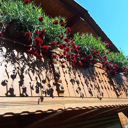 Apartmaji Srnca ツェルクノ