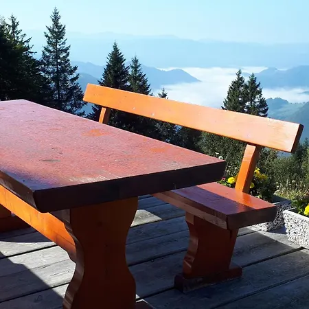 Apartmaji Srnca ツェルクノ