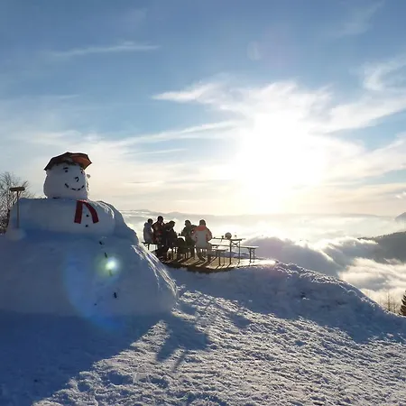 Apartmaji Srnca Apartamento Cerkno