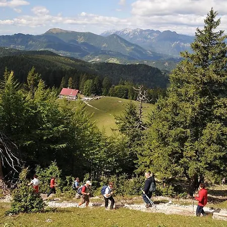 Apartman Apartmaji Srnca