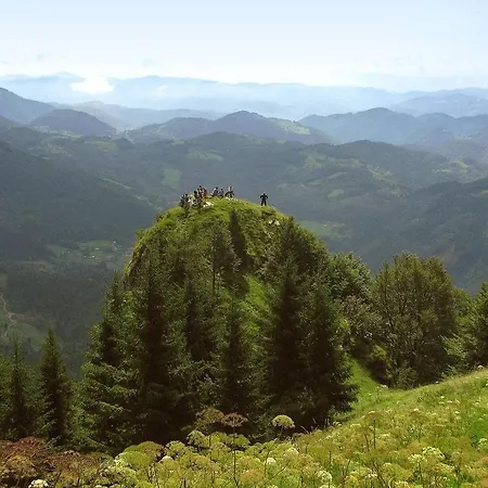 Apartmaji Srnca Cerkno