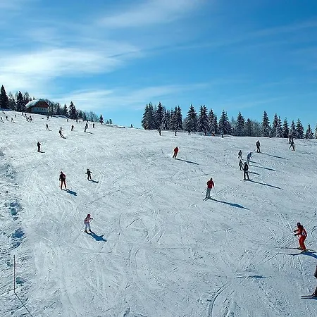 Apartmaji Srnca Apartamento