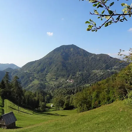 Apartmaji Srnca דירה *