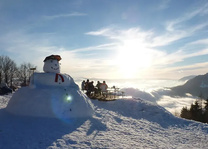 Apartmaji Srnca Appartamento Cerkno