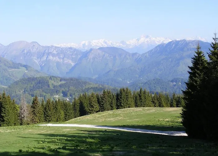 アパート Apartmaji Srnca *