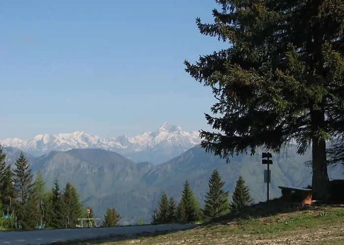 Apartmaji Srnca アパート *